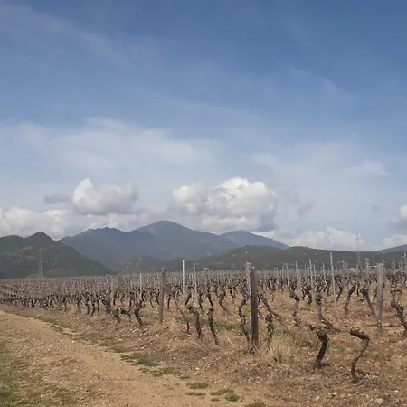 Laura Avec Piscine Privee Lejlighed