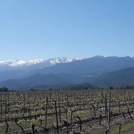 Laura Avec Piscine Privee
