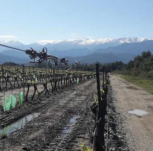 Appartement Laura Avec Piscine Privee Ghisonaccia