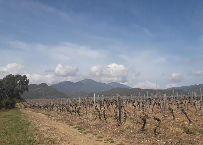 Laura Avec Piscine Privee Appartement