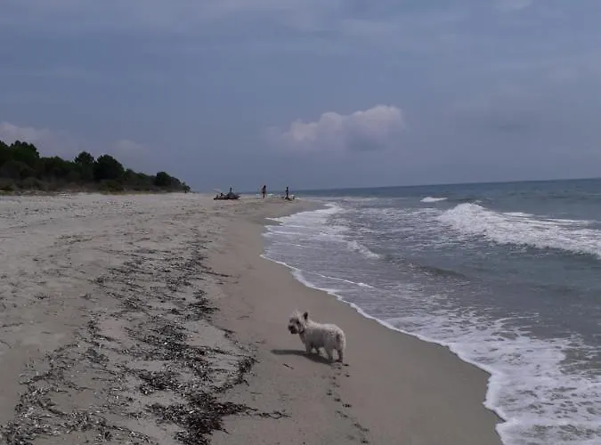 Laura Avec Piscine Privee *