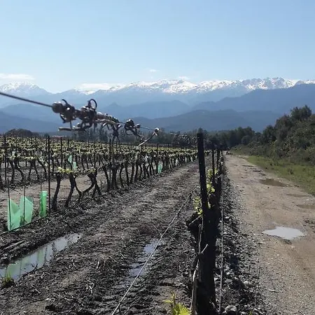 Lägenhet Laura Avec Piscine Privee Ghisonaccia