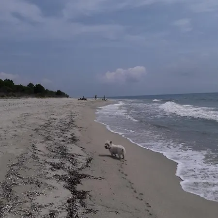 Laura Avec Piscine Privee *