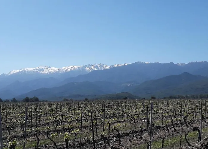 Laura Avec Piscine Privee